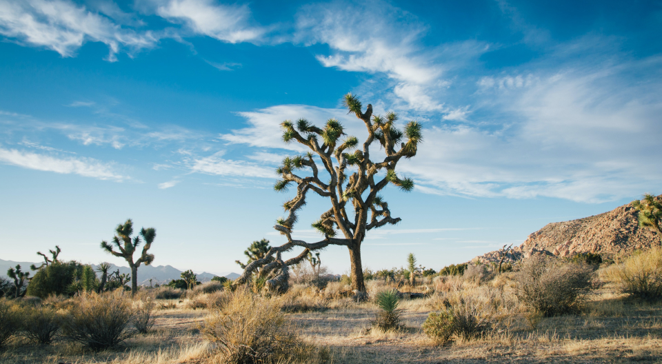 Onsen Hotel & Spa Our Destination - Centrally located amid the splendor of Coachella Valley