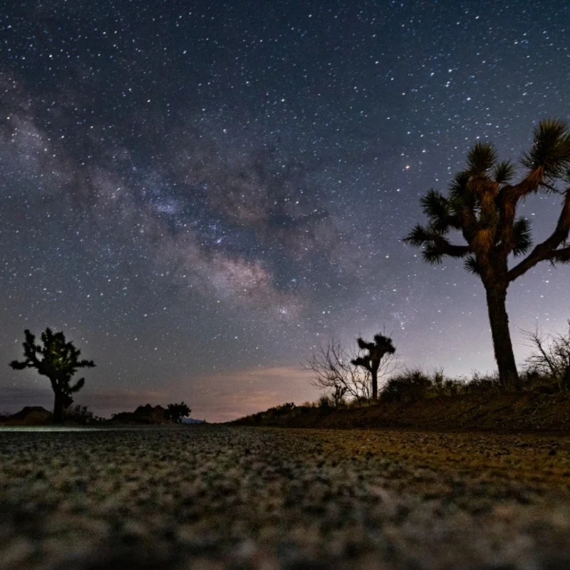 Experience the Magic of Stargazing in Joshua Tree and Beyond