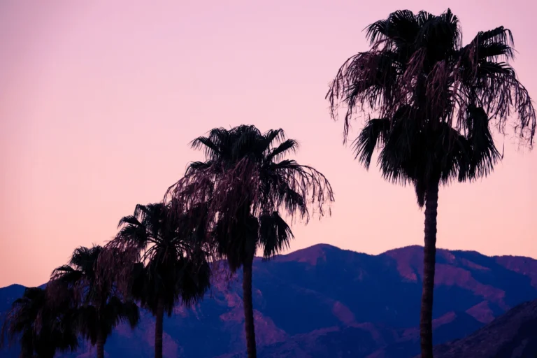 Desert Hot Springs, CA