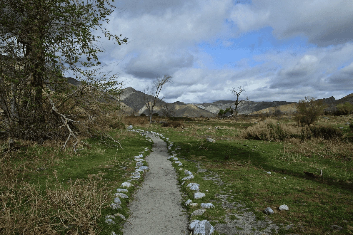 Whitewater Preserve